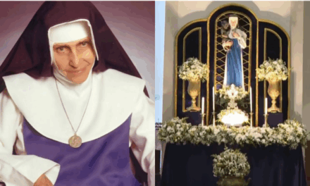 Trezena de Santa Dulce dos Pobres
